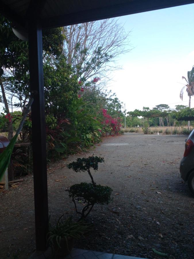 Cabanas Martina Surf Playa Guanico Pedregal Eksteriør billede
