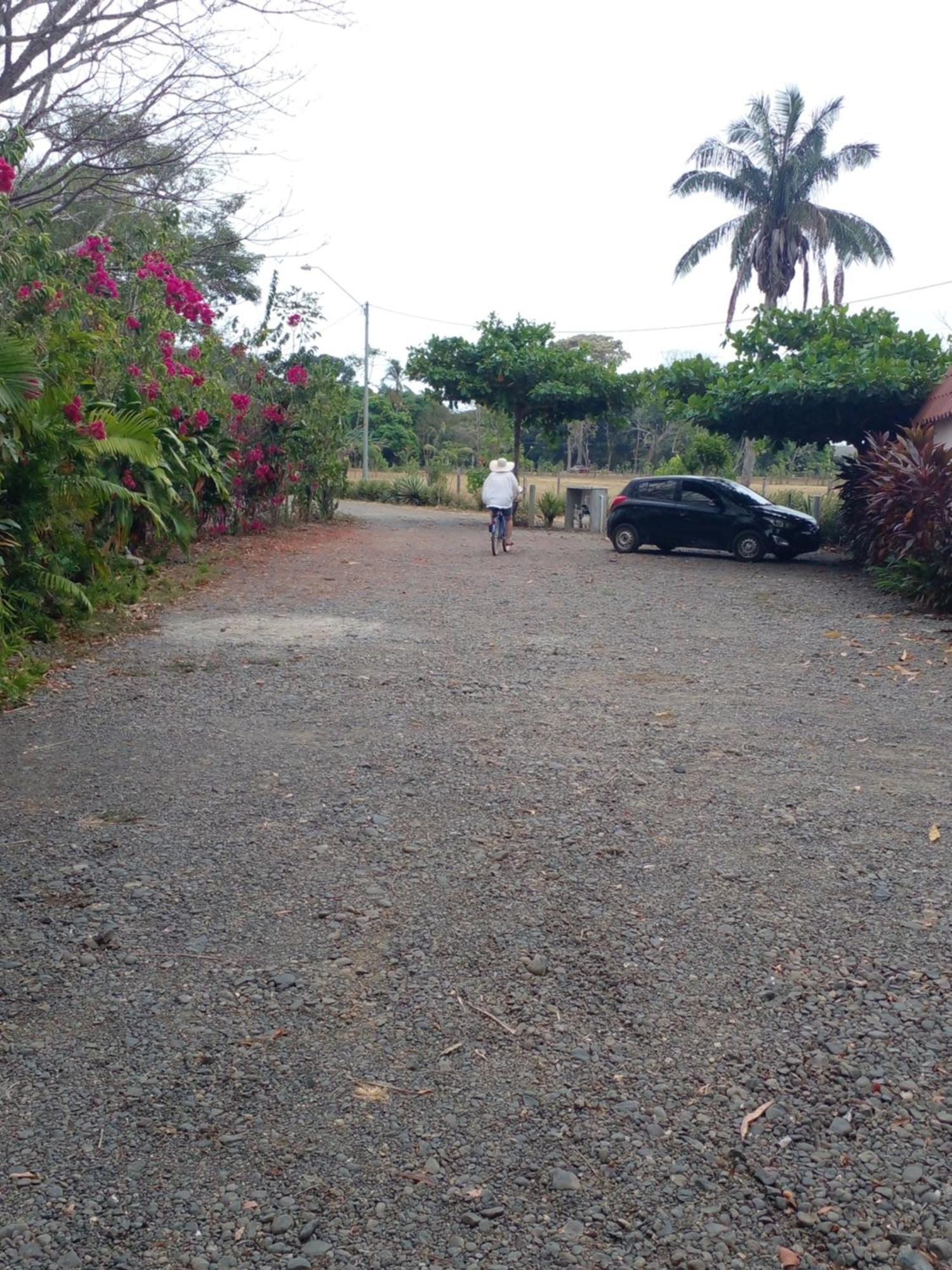 Cabanas Martina Surf Playa Guanico Pedregal Eksteriør billede
