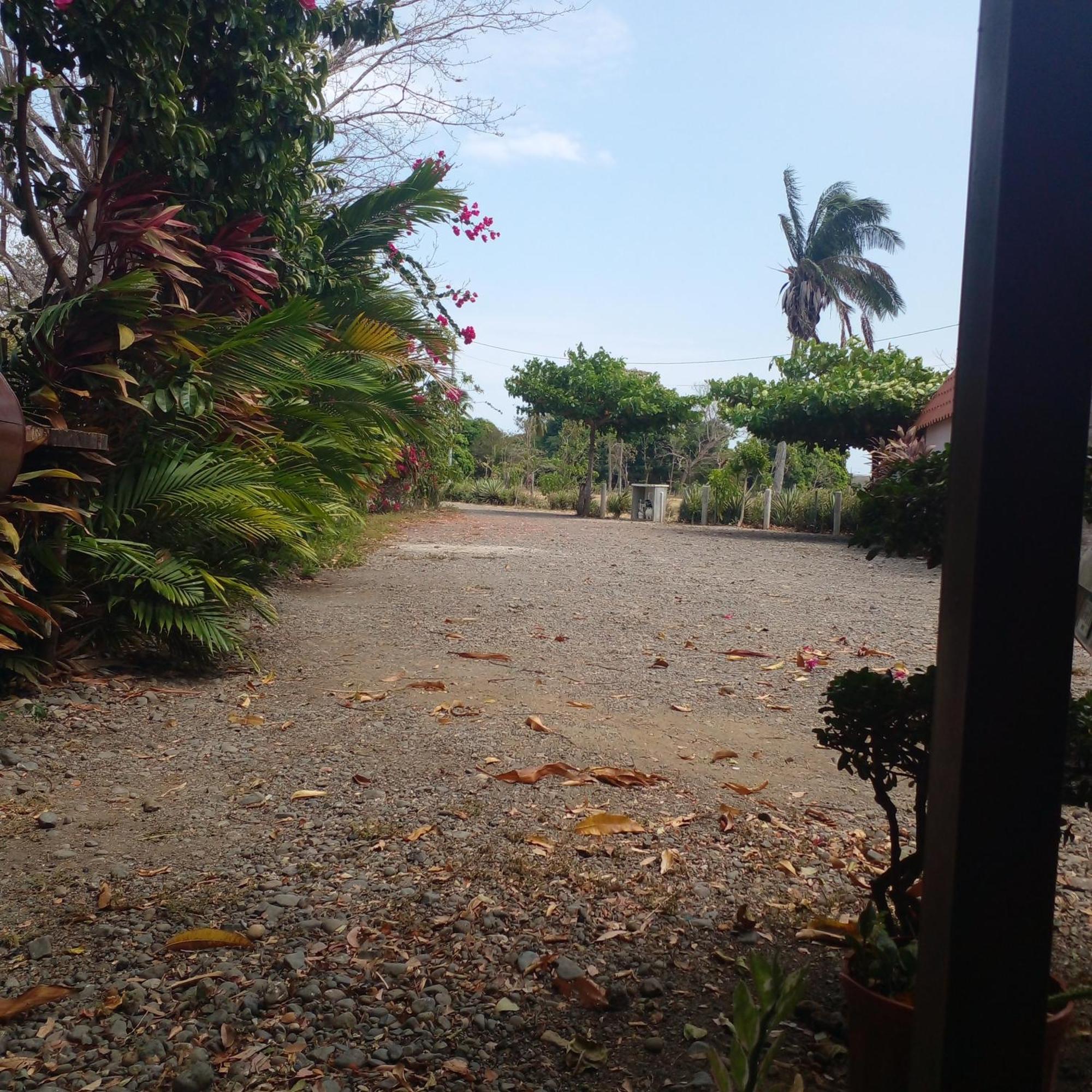 Cabanas Martina Surf Playa Guanico Pedregal Eksteriør billede