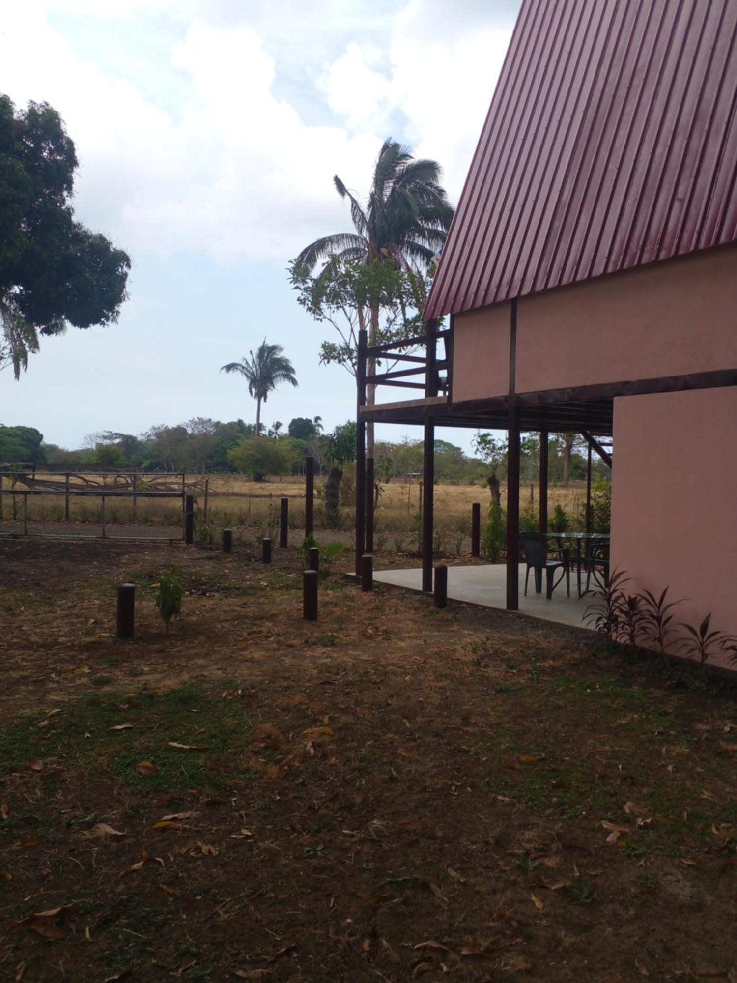 Cabanas Martina Surf Playa Guanico Pedregal Eksteriør billede